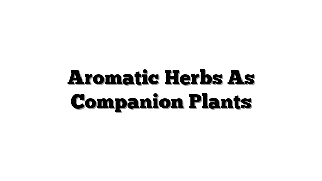 Aromatic Herbs As Companion Plants