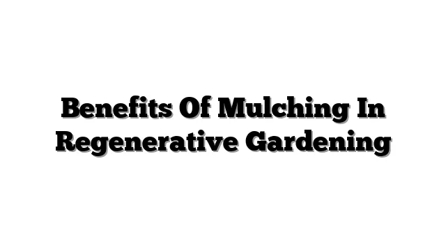 Benefits Of Mulching In Regenerative Gardening