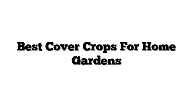 Best Cover Crops For Home Gardens