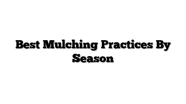 Best Mulching Practices By Season