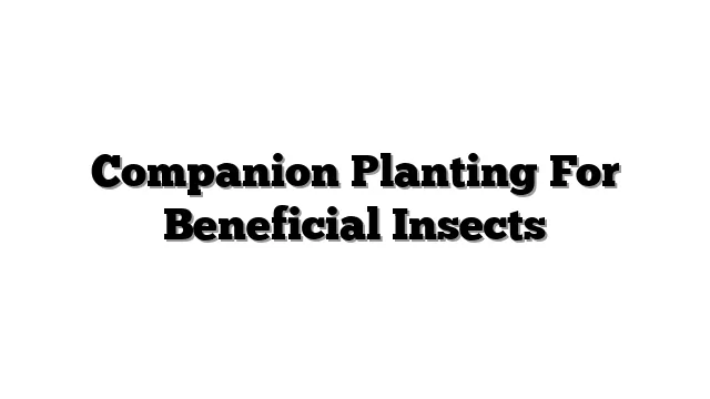 Companion Planting For Beneficial Insects