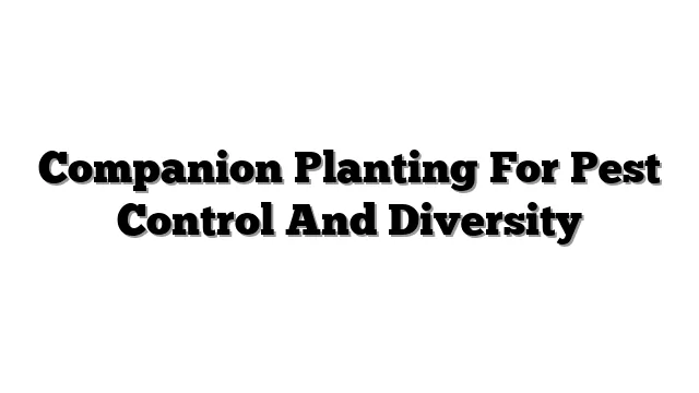 Companion Planting For Pest Control And Diversity