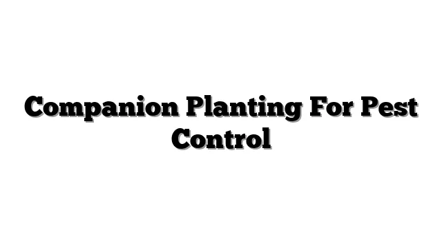 Companion Planting For Pest Control