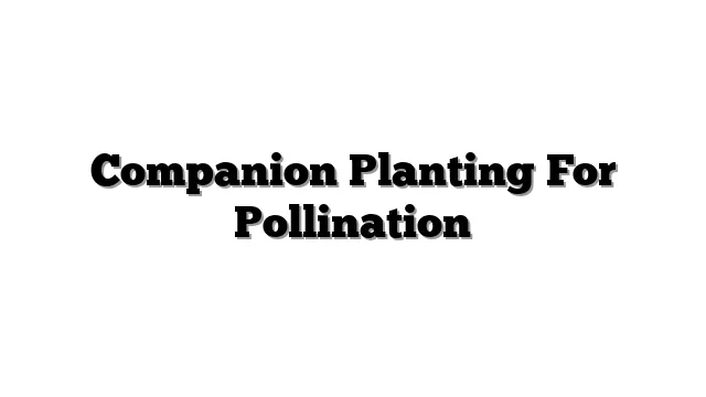 Companion Planting For Pollination