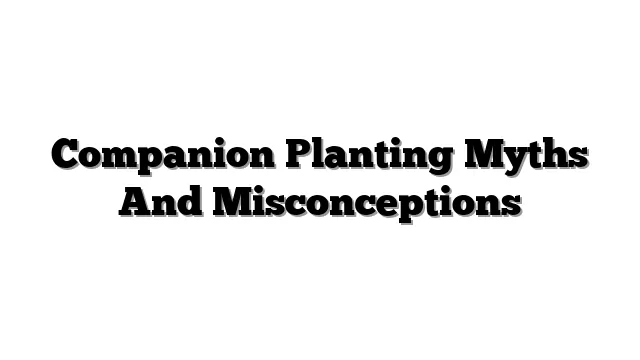 Companion Planting Myths And Misconceptions