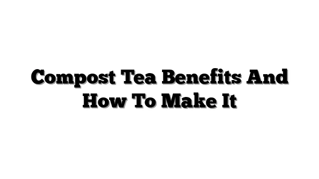 Compost Tea Benefits And How To Make It