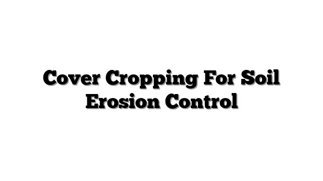 Cover Cropping For Soil Erosion Control