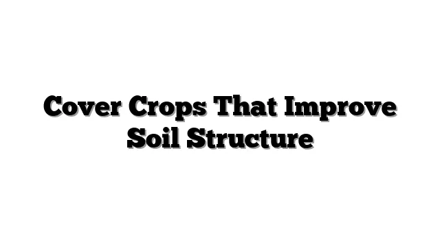 Cover Crops That Improve Soil Structure