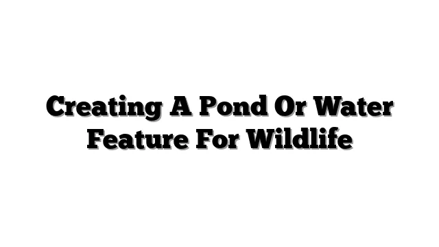 Creating A Pond Or Water Feature For Wildlife