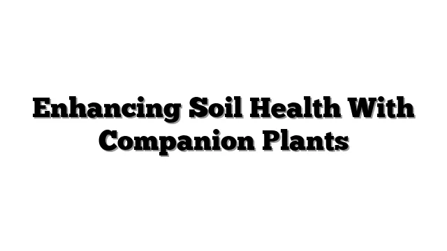 Enhancing Soil Health With Companion Plants