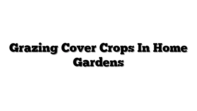 Grazing Cover Crops In Home Gardens