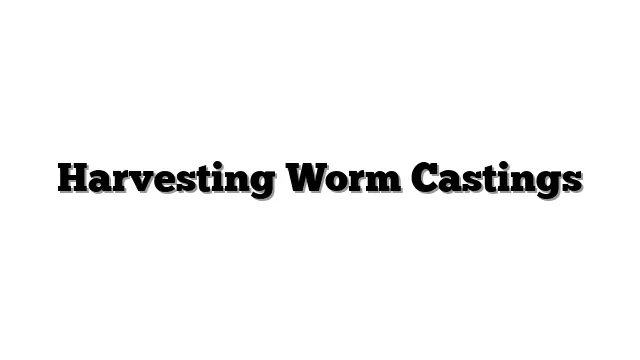 Harvesting Worm Castings
