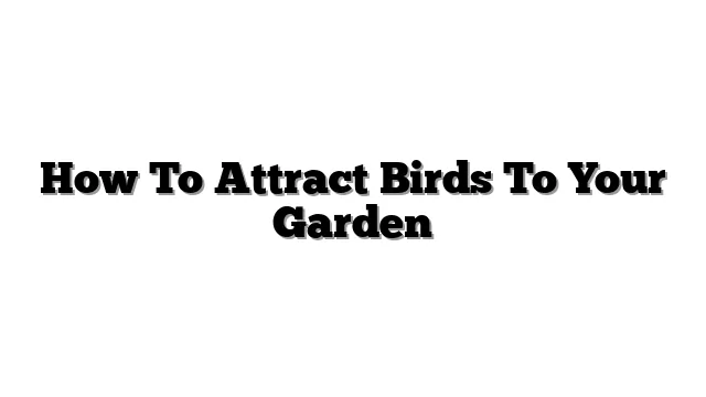 How To Attract Birds To Your Garden
