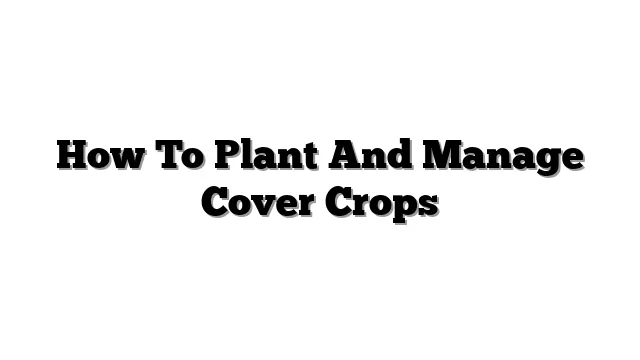 How To Plant And Manage Cover Crops