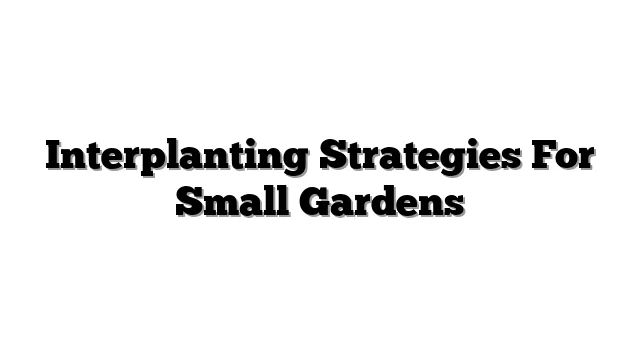 Interplanting Strategies For Small Gardens