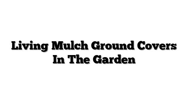 Living Mulch Ground Covers In The Garden