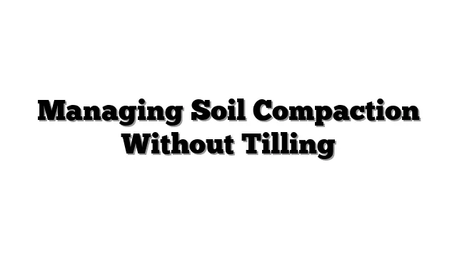 Managing Soil Compaction Without Tilling
