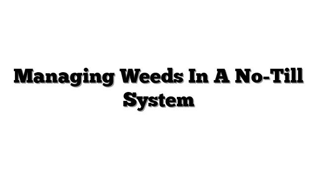 Managing Weeds In A No-Till System