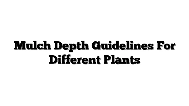 Mulch Depth Guidelines For Different Plants