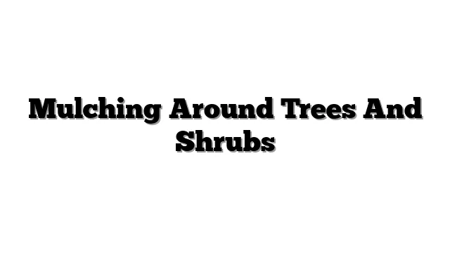 Mulching Around Trees And Shrubs