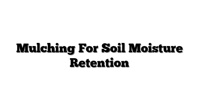 Mulching For Soil Moisture Retention