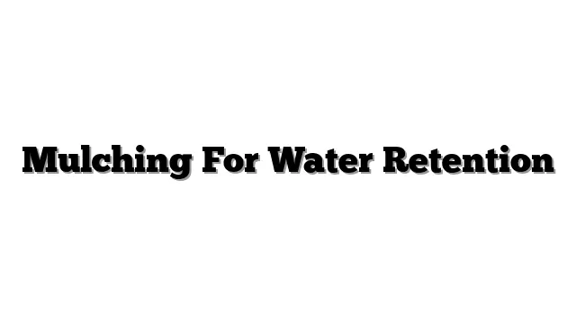 Mulching For Water Retention