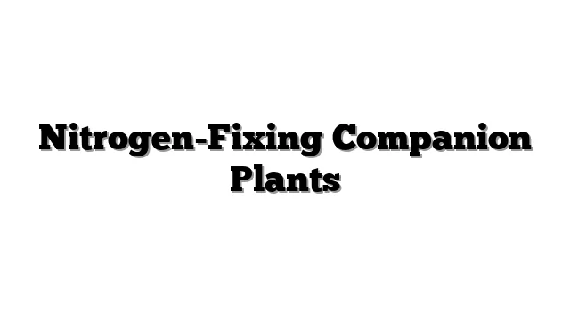 Nitrogen-Fixing Companion Plants