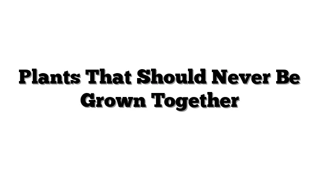 Plants That Should Never Be Grown Together