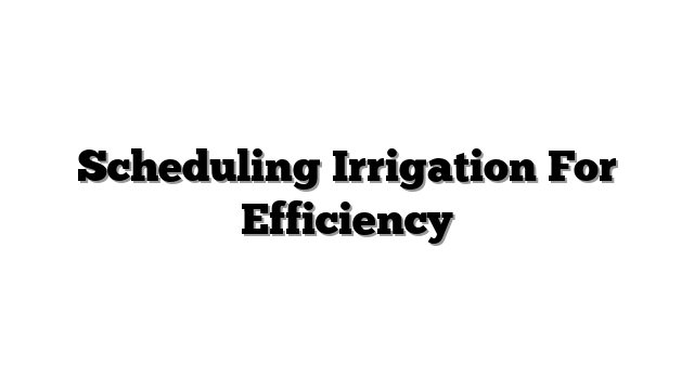 Scheduling Irrigation For Efficiency