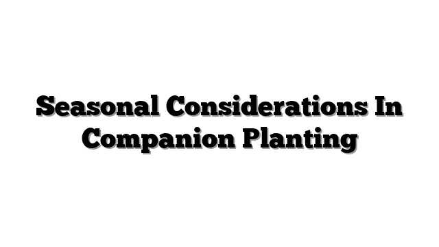 Seasonal Considerations In Companion Planting