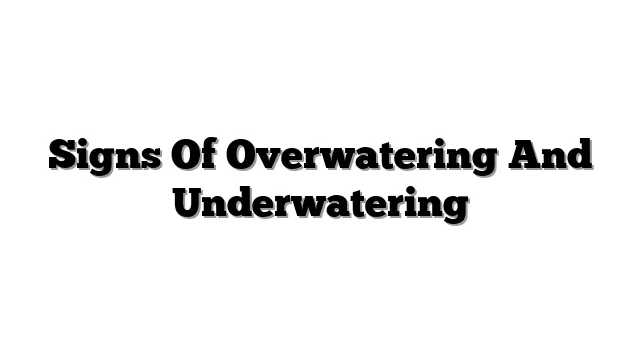 Signs Of Overwatering And Underwatering