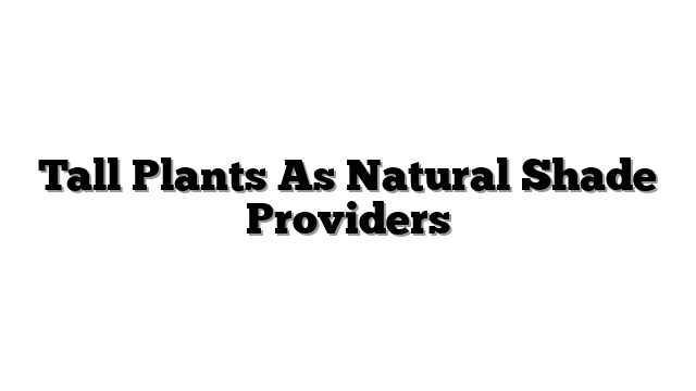 Tall Plants As Natural Shade Providers