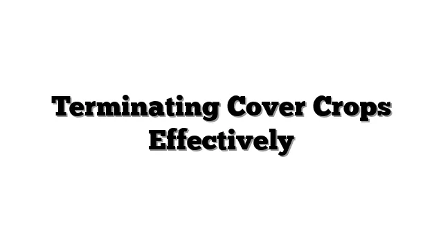 Terminating Cover Crops Effectively