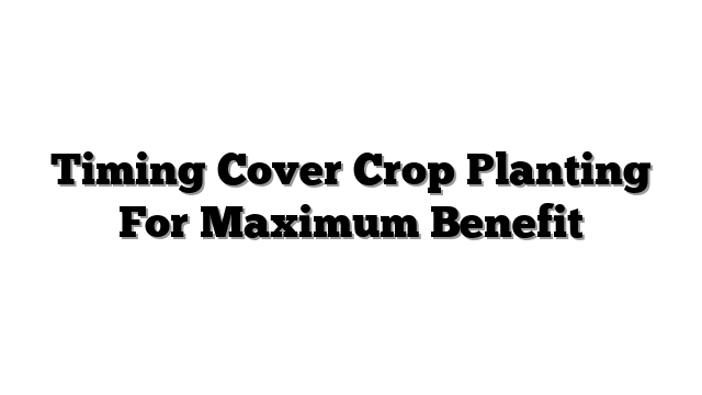 Timing Cover Crop Planting For Maximum Benefit