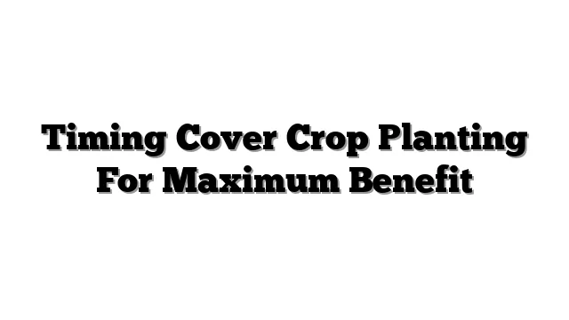 Timing Cover Crop Planting For Maximum Benefit