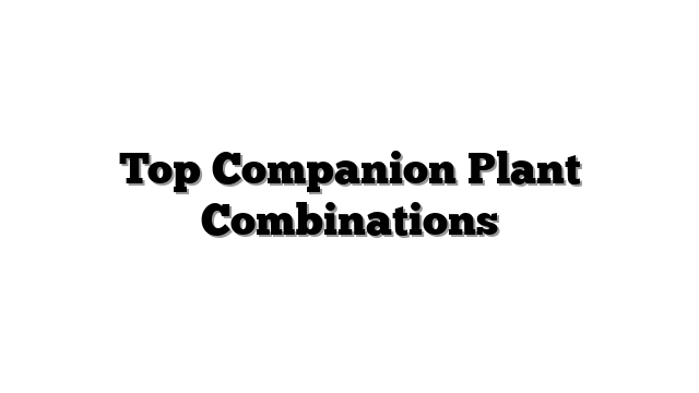 Top Companion Plant Combinations