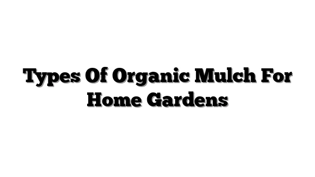 Types Of Organic Mulch For Home Gardens