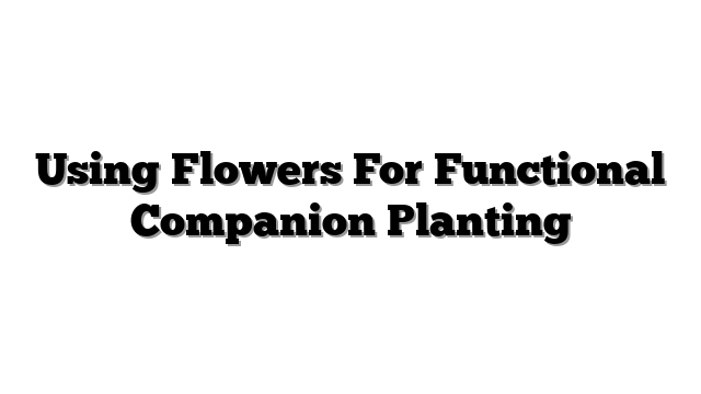 Using Flowers For Functional Companion Planting
