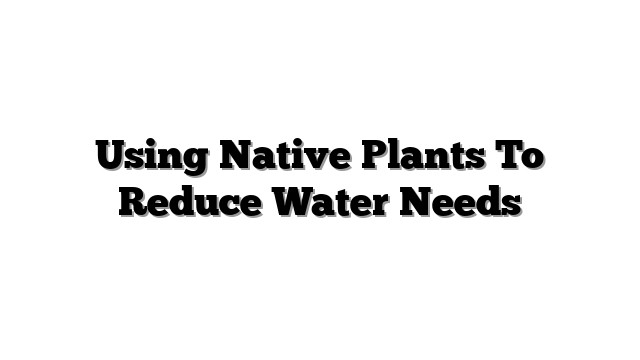 Using Native Plants To Reduce Water Needs
