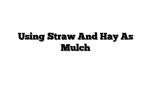 Using Straw And Hay As Mulch