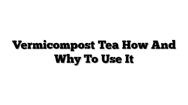 Vermicompost Tea How And Why To Use It