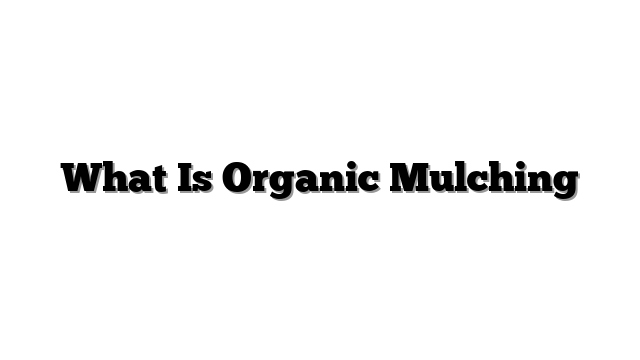 What Is Organic Mulching