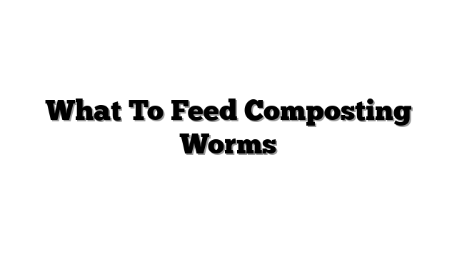What To Feed Composting Worms