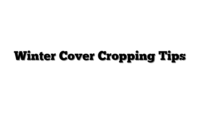 Winter Cover Cropping Tips