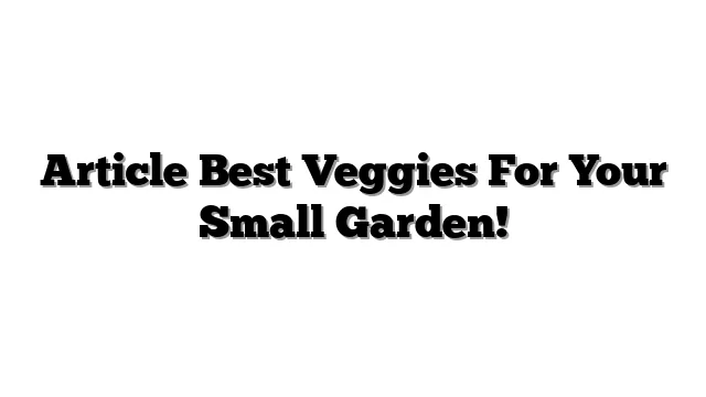 Article Best Veggies For Your Small Garden!