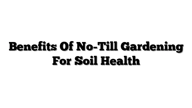 Benefits Of No-Till Gardening For Soil Health