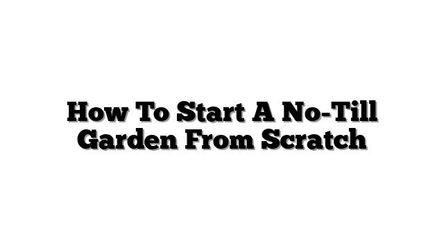 How To Start A No-Till Garden From Scratch