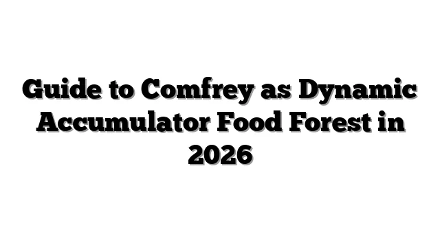 Guide to Comfrey as Dynamic Accumulator Food Forest in 2026