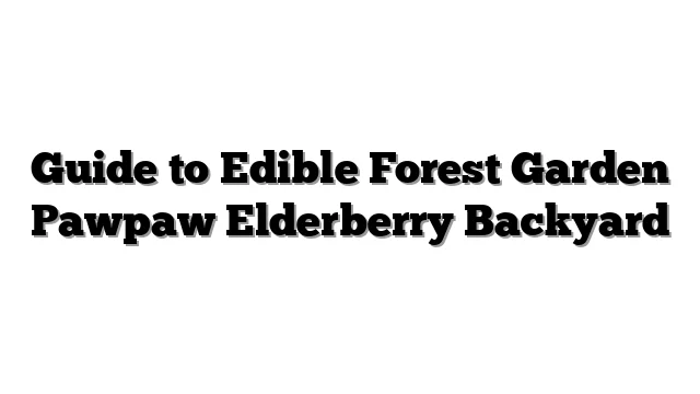 Guide to Edible Forest Garden Pawpaw Elderberry Backyard