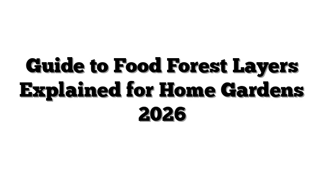 Guide to Food Forest Layers Explained for Home Gardens 2026
